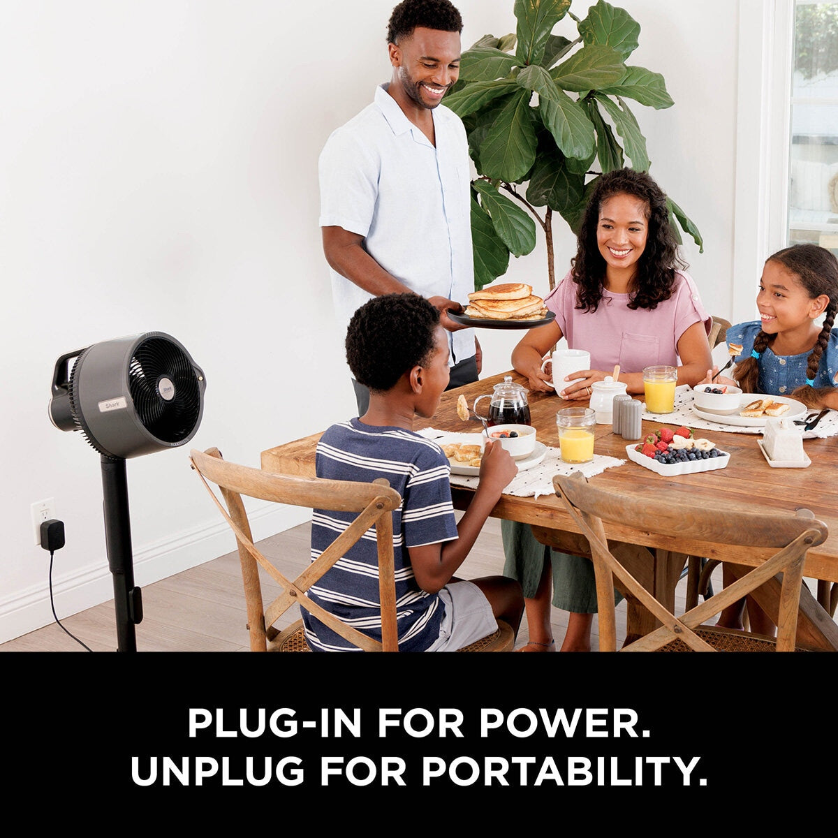 Flexbreeze Pro Mist Indoor & Outdoor Fan & Outdoor Misting System, FA300UK