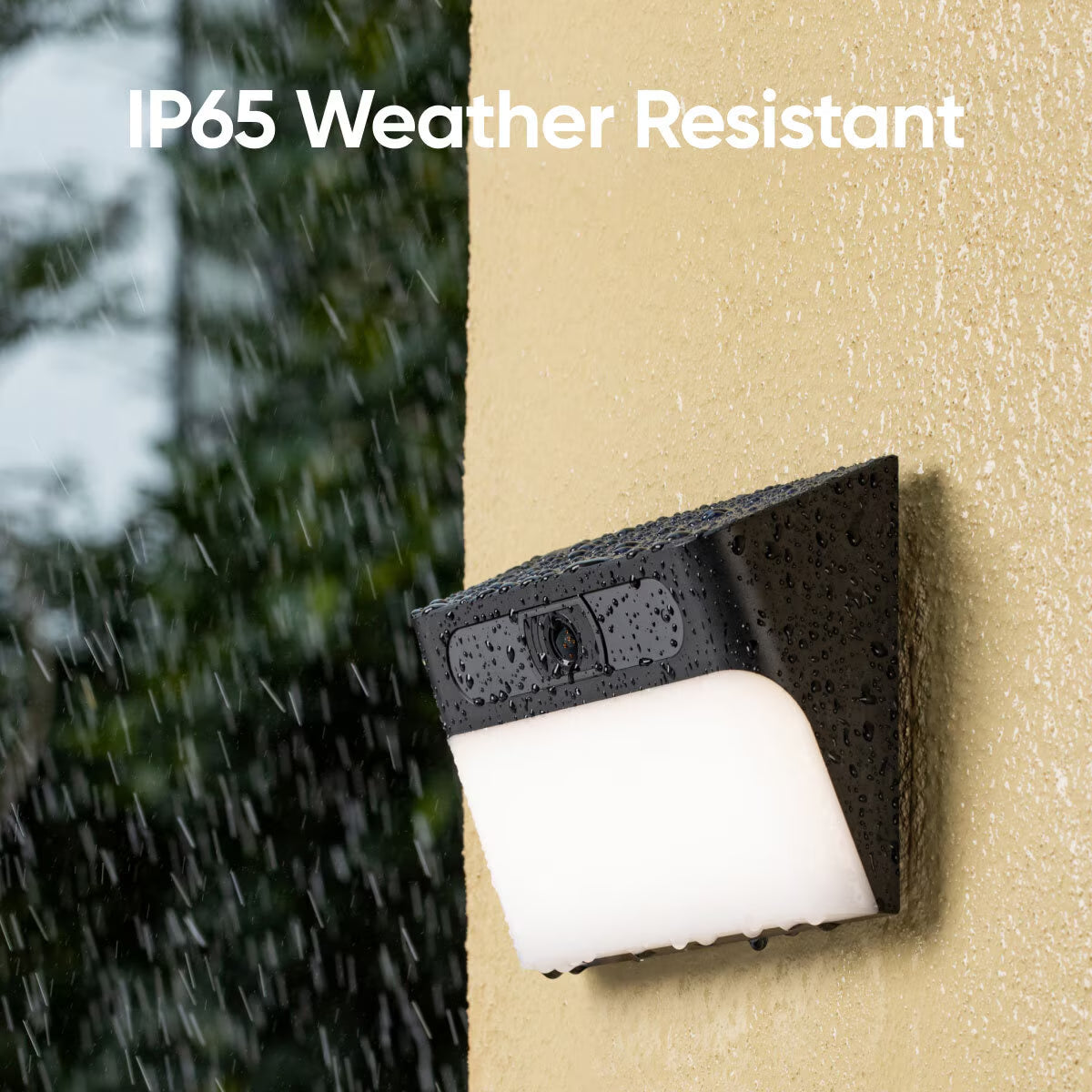 Solar Wall Light Cam S120 2 Pack - No Monthly Fees