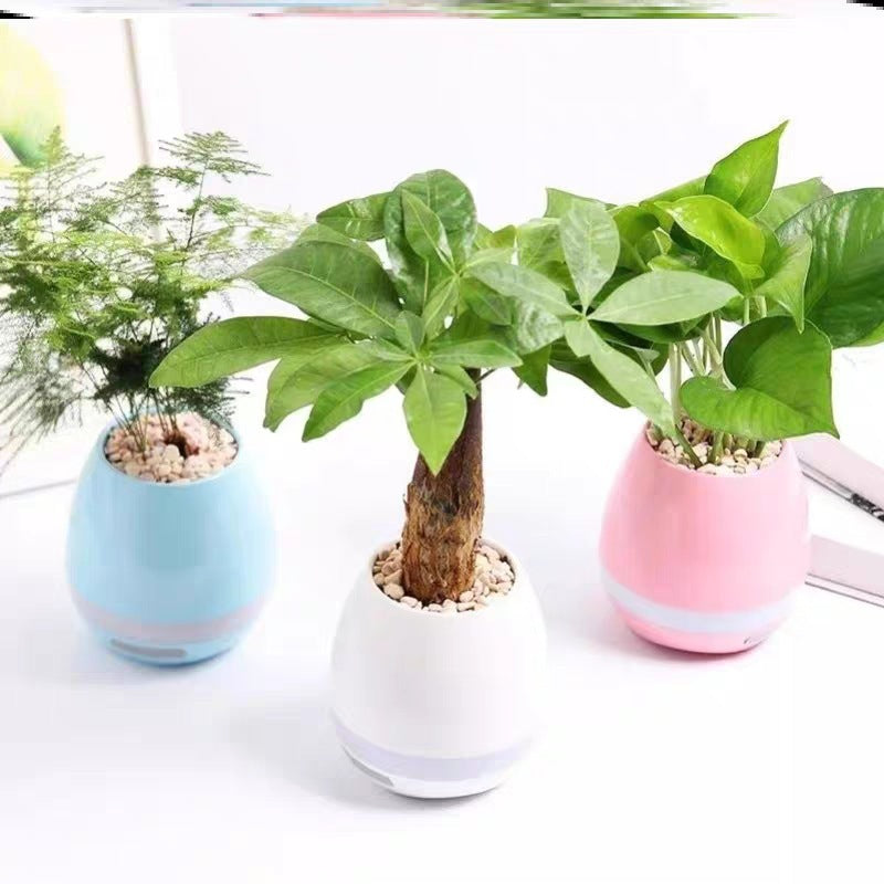 Music Bonsai Flower Pot Wireless Bluetooth Speaker With Night Light Sertex