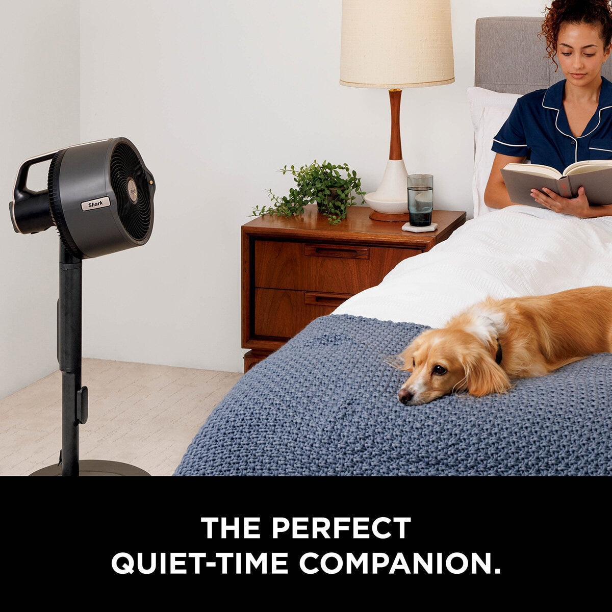 Flexbreeze Pro Mist Indoor & Outdoor Fan & Outdoor Misting System, FA300UK