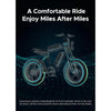 ENGWE M20 – 150KM Range E-Bike, Dual Suspension, 25 km/h (Dual Battery) AIOX ONLINE