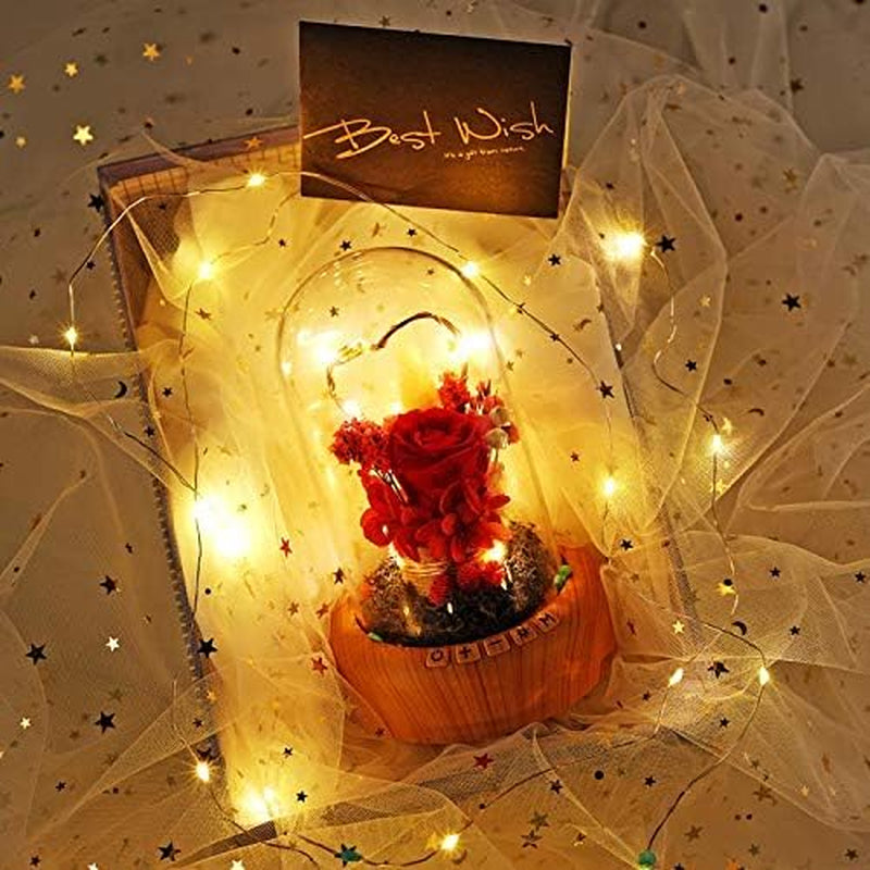 Mother'S Day Red Rose Night Light Real Eternal Rose in Glass Dome, Preserved Rose Flower Lamp with Speaker,Forever Flowers Gift for Mom, Wife, Girlfriend on Mother'S Day