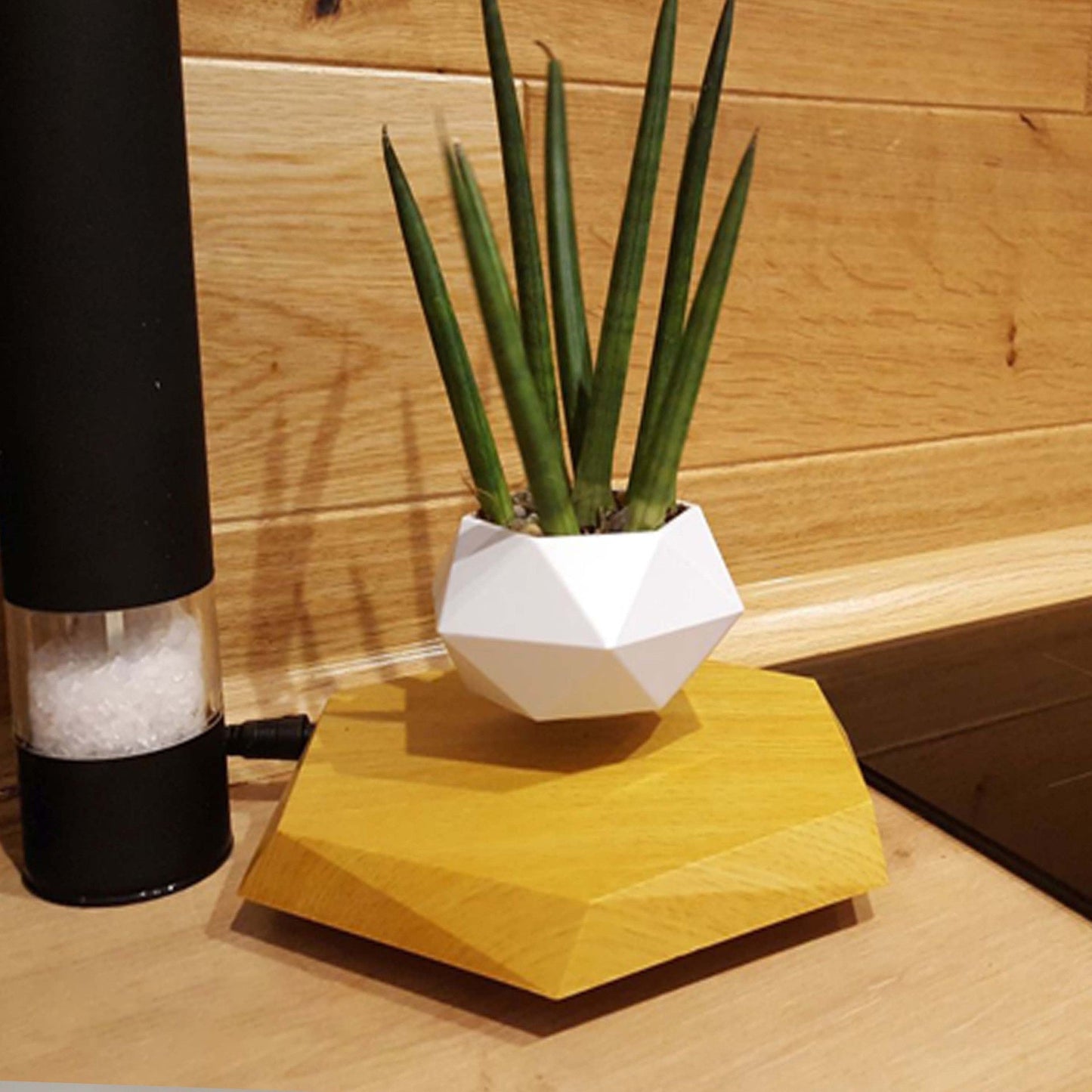 Floating Magnetic Levitating Flower Pot Gadgystox