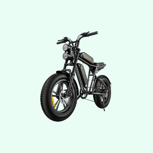 ENGWE M20 – 150KM Range E-Bike, Dual Suspension, 25 km/h (Dual Battery) AIOX ONLINE
