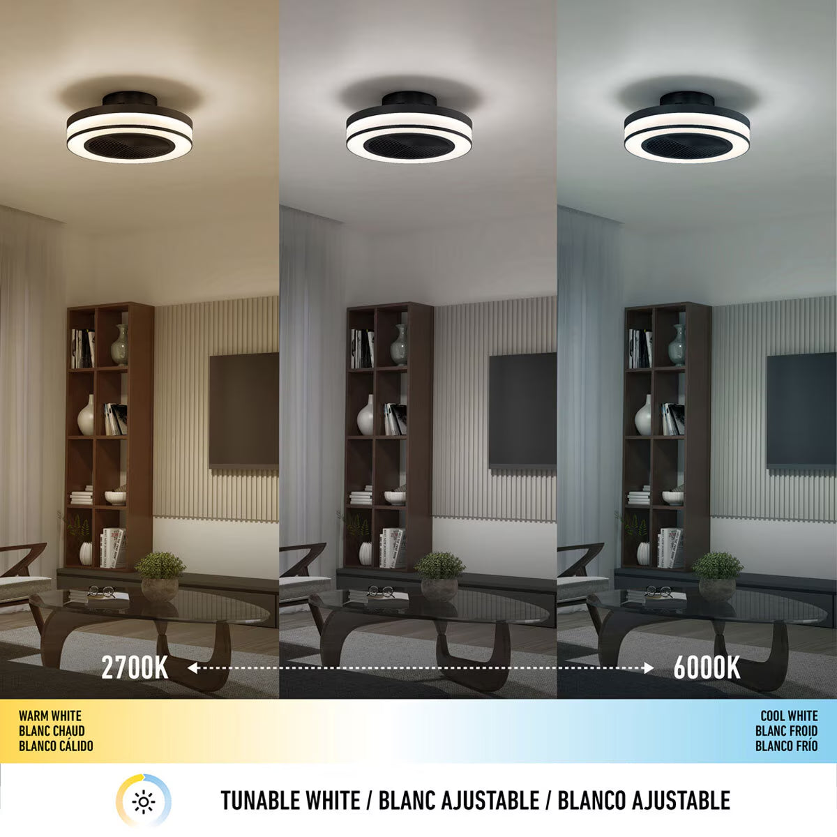 Elton 19" (43Cm) Fan Light with Remote Control